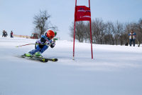 Závody 2018