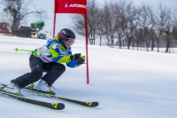 Závody 2018