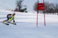 Závody 2018